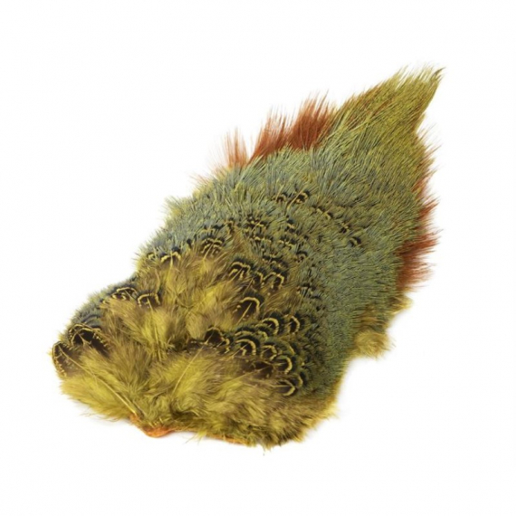 Ringneck Rump Patch ryhmässä Koukut & Tarvikkeet / Perhonsidonta / Perhonsidontamateriaalit / Höyhenet & Sulat / Takit & Satulat @ Sportfiskeprylar.se (W-PSR010r)