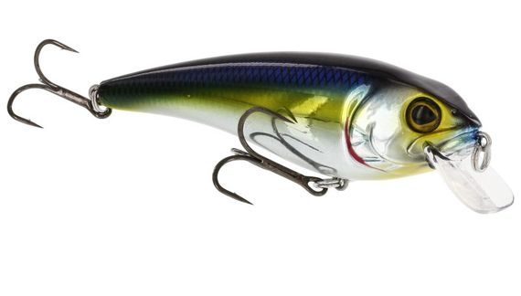 Westin RawBite 11cm 27g Low Floating ryhmässä Vieheet / Vaaput / Matalan veden Crankbaits @ Sportfiskeprylar.se (WS14112r)