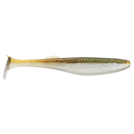 Arkansas Shiner