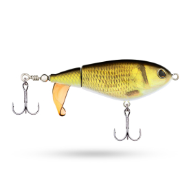 Golden Shiner