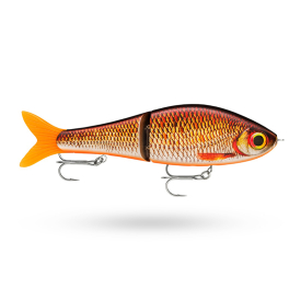 Live Redfin Shiner
