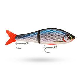 Spawning Roach