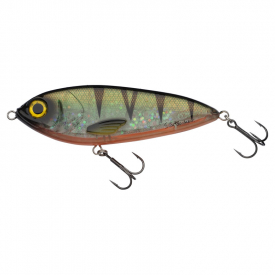 Yellowfin Perch