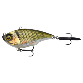 Bream