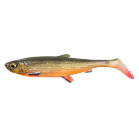 Artic Char