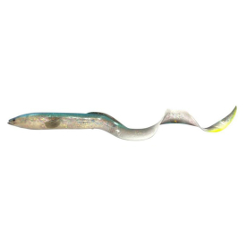 Chameleon Eel