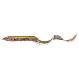 Green Lamprey