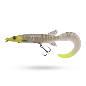 White Pike
