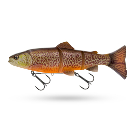 Tiger Trout