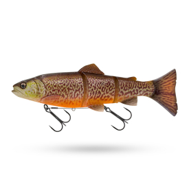 Tiger Trout