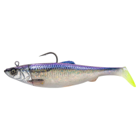 Coalfish