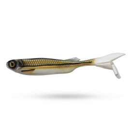 Gold Shad