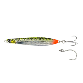 Green Mackerel
