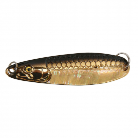 Abalone Gold Black