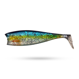Uv Sardine