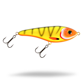 Neon Tiger Tetra