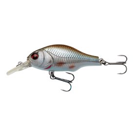 Roach