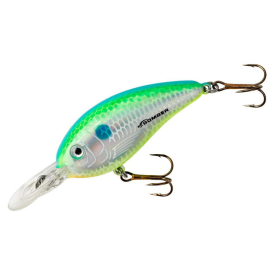 Citrus Shad