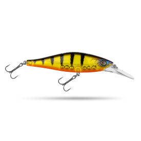 Golden Perch 