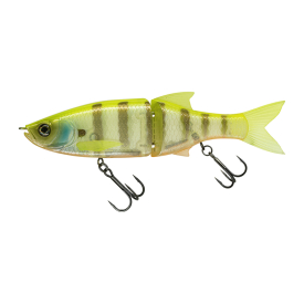 White Gill Orange Belly