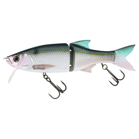 Threadfin Shad