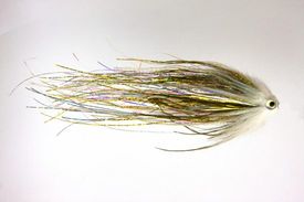 Pikefly on tube - Dirty Roach