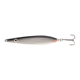 Silver Shiner