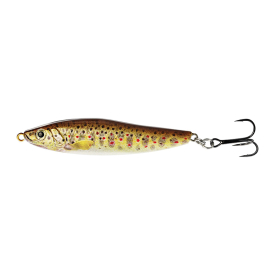 Brown Trout Fry