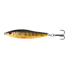 Brook Trout Fry