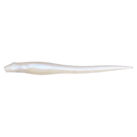 Ghost Shad/Solid