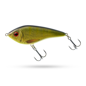 Roach/Perch