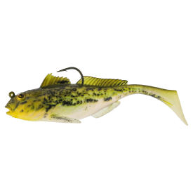 Headlight Goby