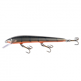 Silver Roach