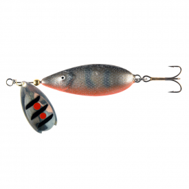 Silver Roach
