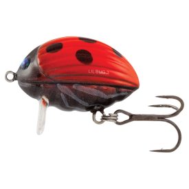 Ladybird