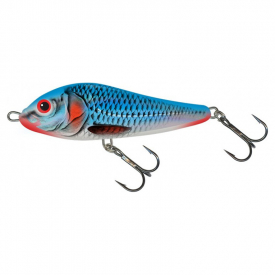 Bleeding Blue Shad