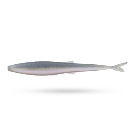 Ghost Pro Shad