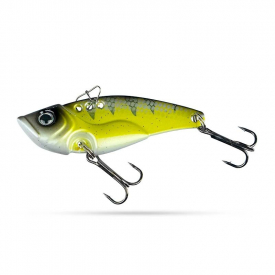 Juvenile Zander