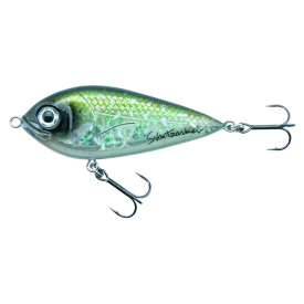 Baby Pike