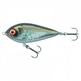 Golden Bream