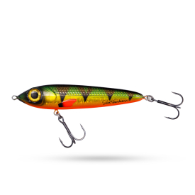 Golden Perch