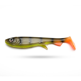 Pickleback Perch