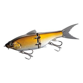 Golden Shiner