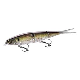 St Sexy Shad