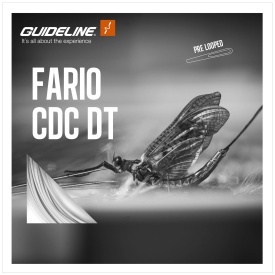 Guideline Fario CDC DT Float Fly Line - # 2