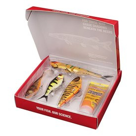 Berkley Gift box Pike
