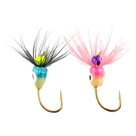 IFISH Hot Heads 1