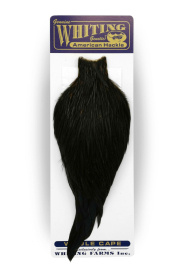 Whiting American Rooster Cape Black