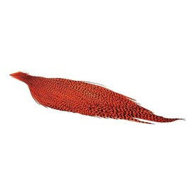 Whiting High & Dry Hackle 1/2 Cape - GD/Orange