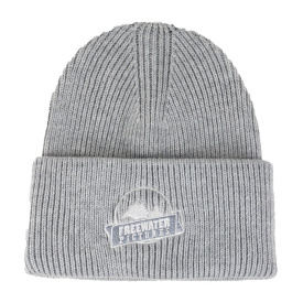 Freewater Pictures Beanie - Grey